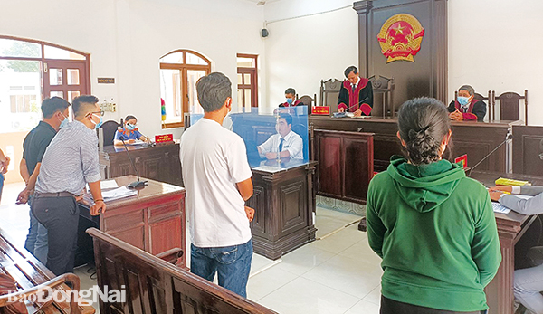 Phần 10: PHÁP LUẬT VỀ ĐẤT ĐAI – Tranh chấp liên quan đến quyền sử dụng chung