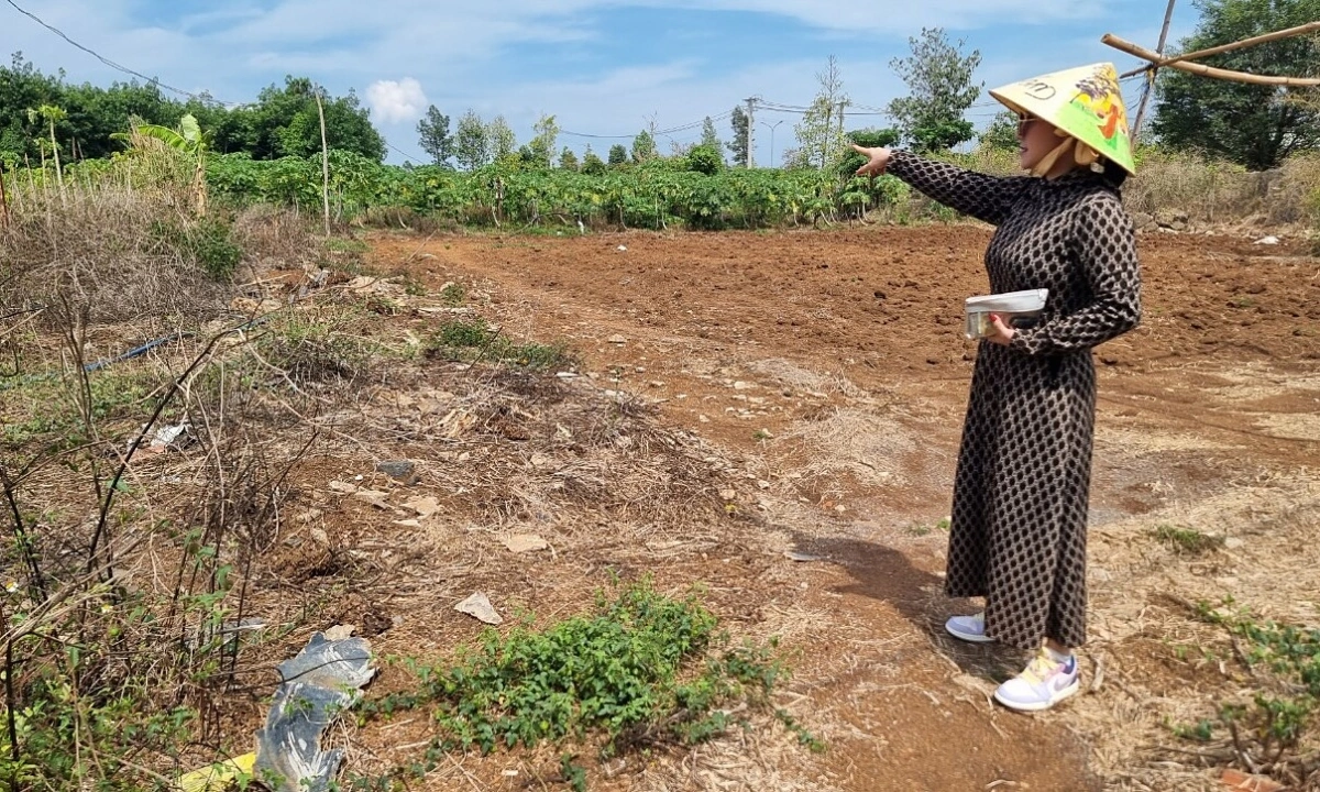 Phần 9: PHÁP LUẬT VỀ ĐẤT ĐAI – Tranh chấp liên quan đến di sản, đất hương hoả, tặng cho trong gia tộc