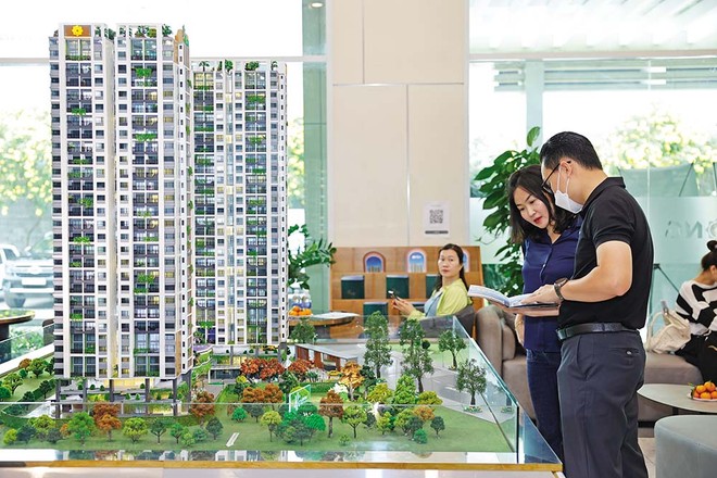 Thị trường BĐS khởi sắc, doanh nghiệp địa ốc quay lại hoạt động